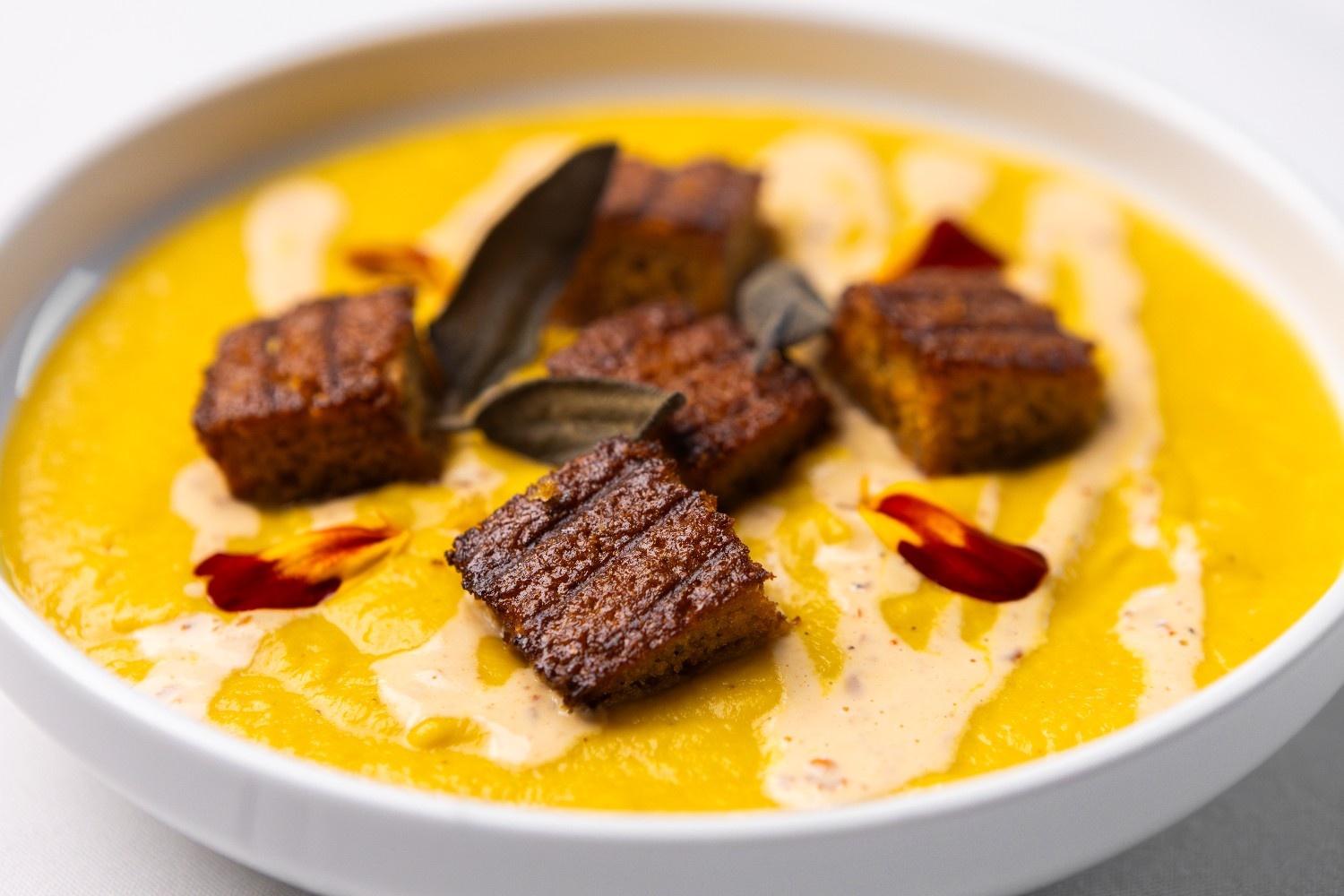 Bowl of soup with some croutons in focus, illustrating bokeh.