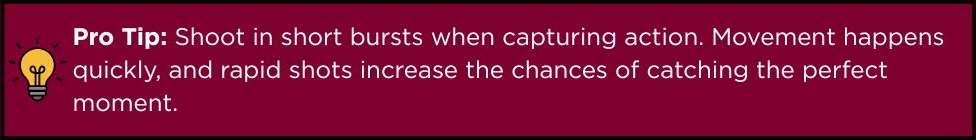 Pro Tip about shooting in short bursts to capture movement.