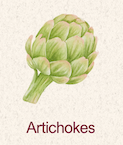 Artichokes 