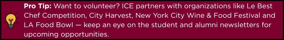 Tip about finding volunteer opportunities in student and alumni newsletters.