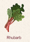 Rhubarb