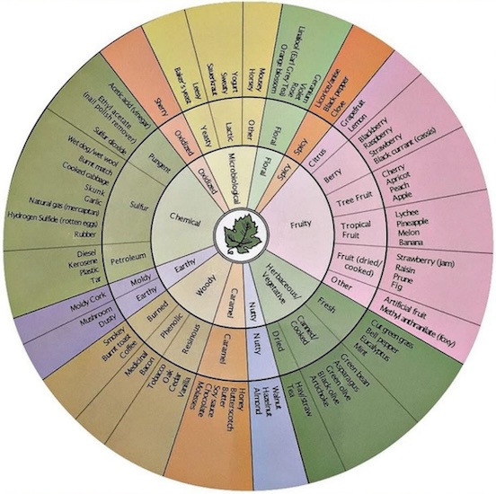 Wine aroma wheel