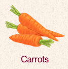 Carrots 