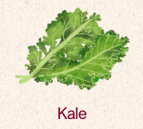 Kale