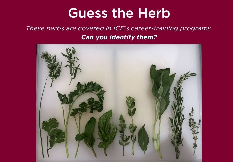 Different herbs lined up on a cutting board.