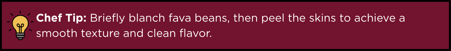 Fava Beans