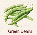 Shell Beans