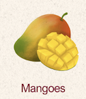 Mangoes