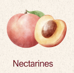 Nectarines 