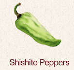 Peppers
