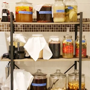 ICE's fermentation lab shelf with jars.
