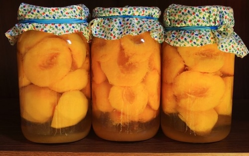 Three glass jars filled with halved, peeled yellow peaches in clear syrup. Each jar is topped with a floral patterned fabric cover secured by a blue rubber band, arranged in a row against a dark background.
