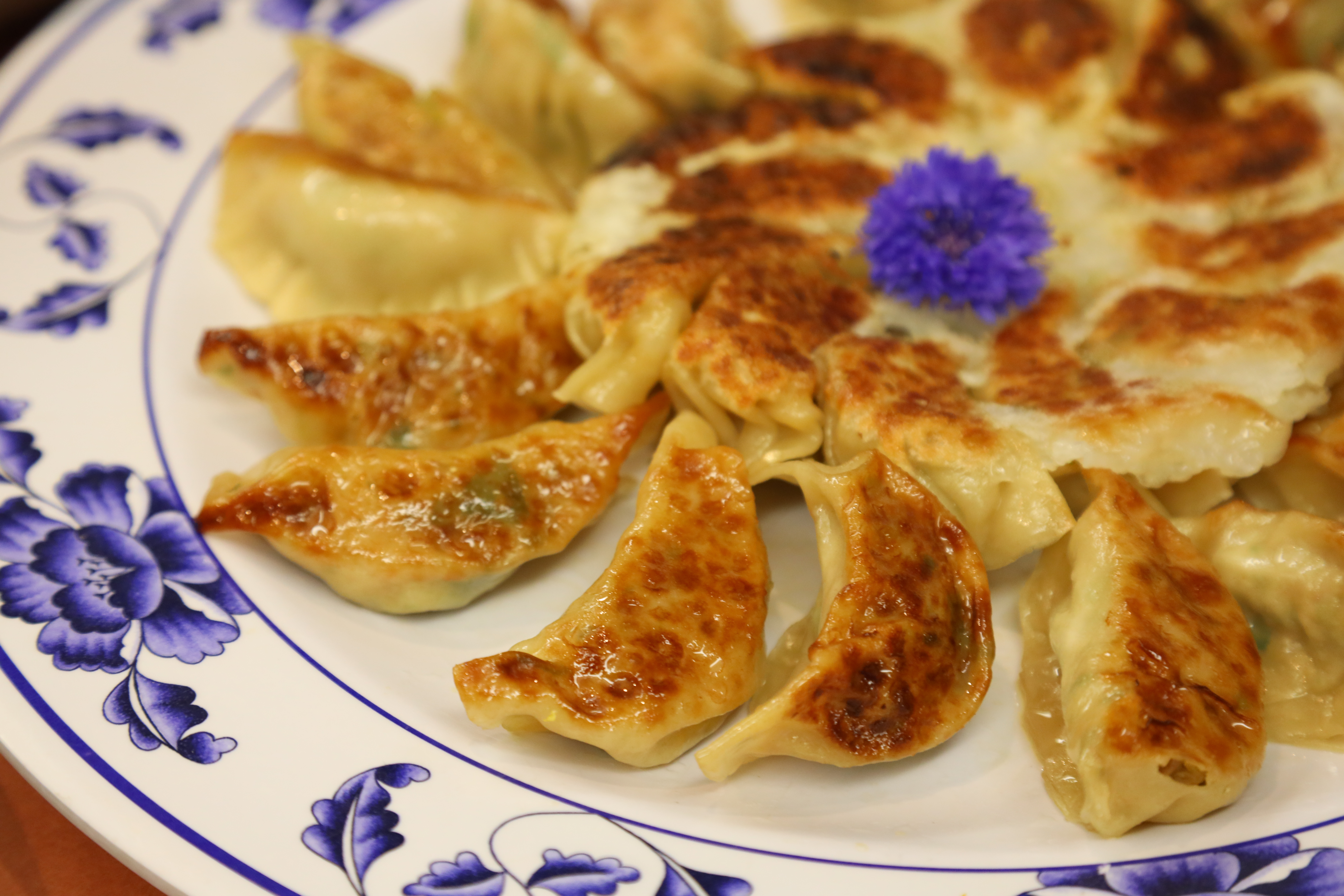 Guo Tie, a type of Chinese dumplings also known as potstickers, sit on a white plate
