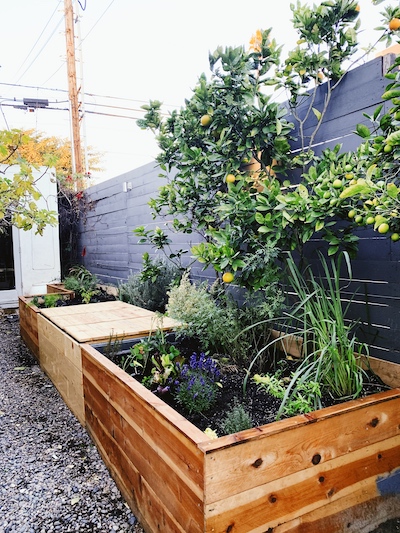 Plant Food + Wine keeps its compost box in the middle of the garden bed on its patio.