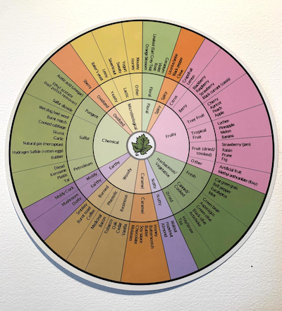 The wine aroma wheel