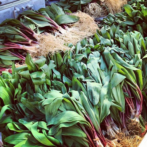 ramps for sale at the farmer's market