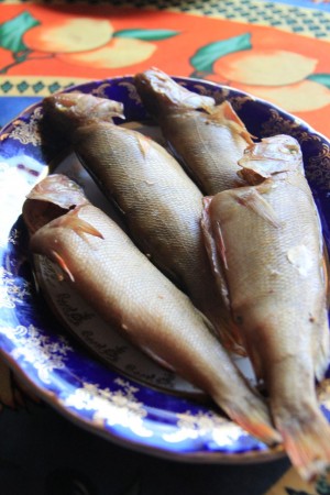 Smoked whole fish from the seaside town of Nida