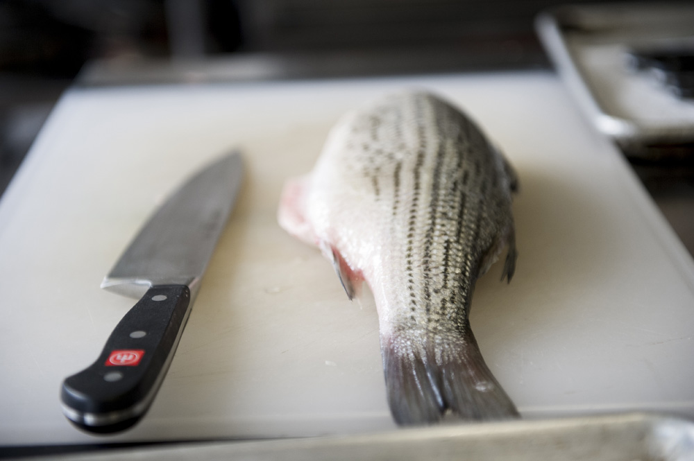 Fish fabrication in culinary school