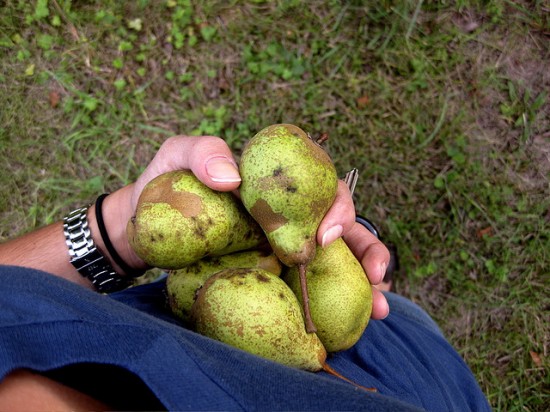 Traditional French cuisine relies on products unique to the region's terroir.