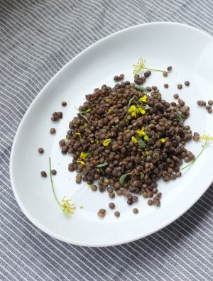 A student plates lentils in the "brown foods" challenge.