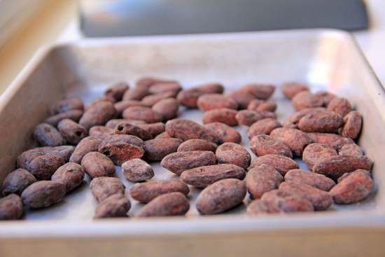 Test Roasting Cocoa Bean Samples
