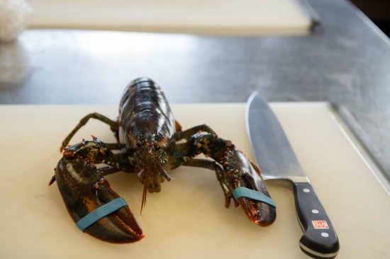 lobster butchery culinary school