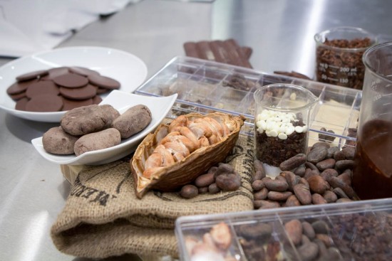 cacao pod bean to bar chocolate