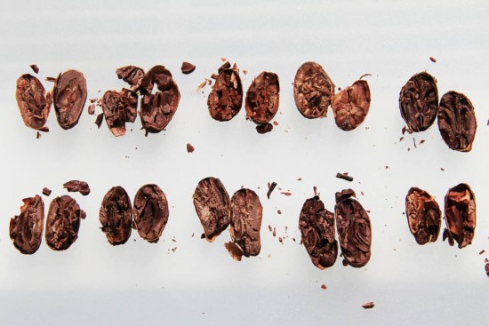 cacao beans raw chocolate bean to bar chocolate