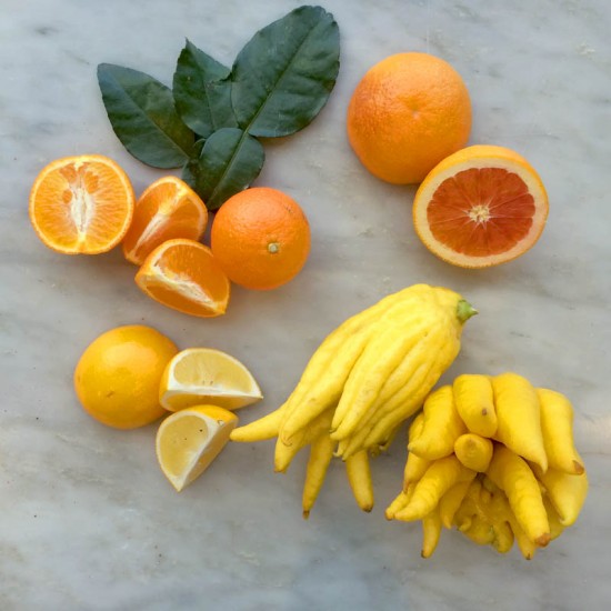 citrus mandarin buddha's hand, meyer lemon