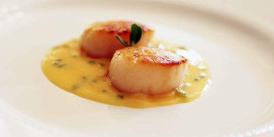 seared scallops