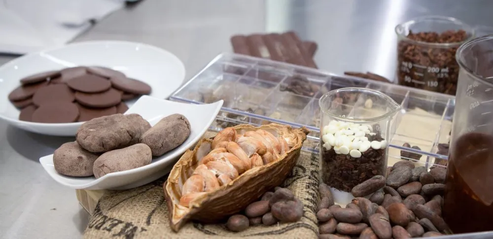 cacao, roasting cocoa, tempered chocolate