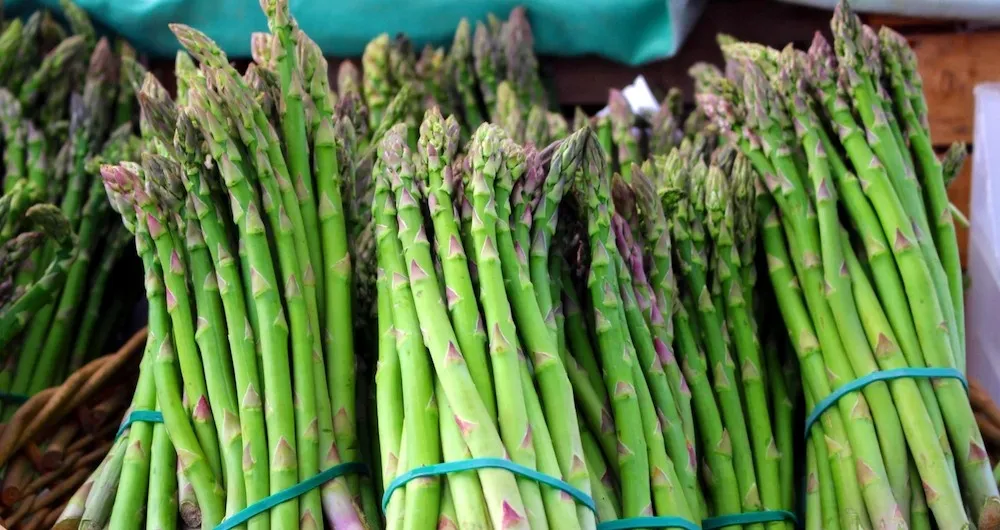 Bundles of asparagus