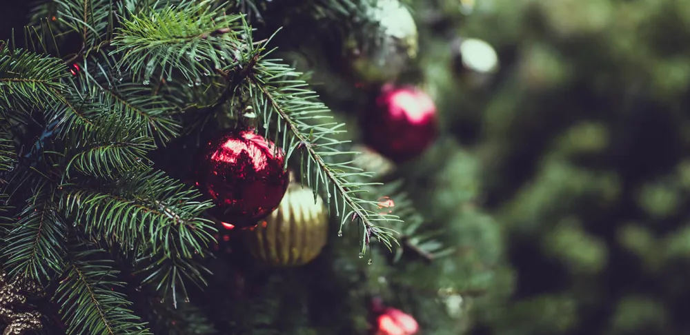 Christmas tree lights