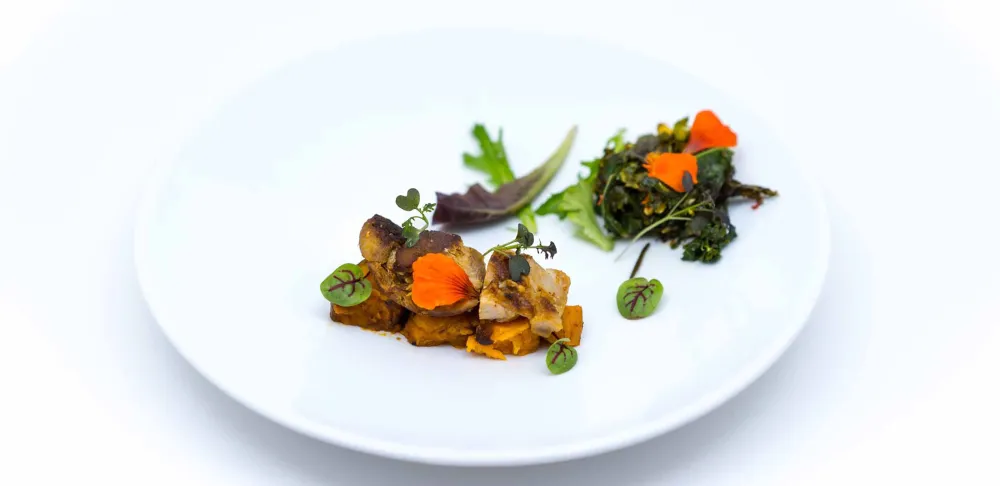 hydroponic-grown herbs are used to liven up a charred chicken dish from dig inn
