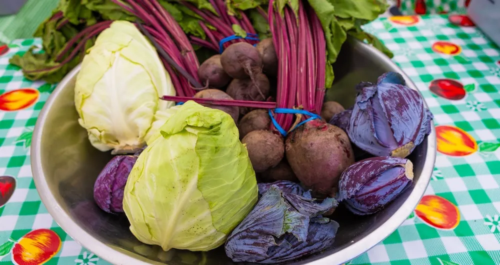 Bowl filled with cabbage and beets