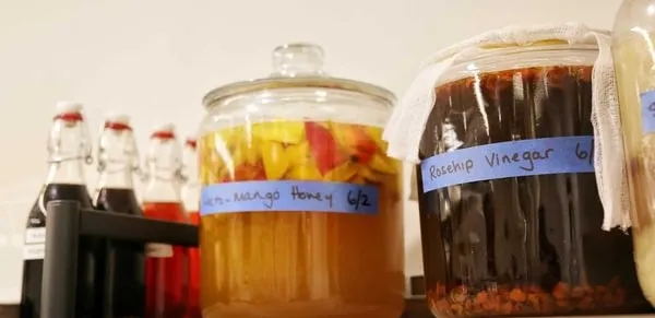 Fermentation jars on a shelf. 