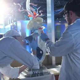 A Sugar Showpiece for the Super Bowl
