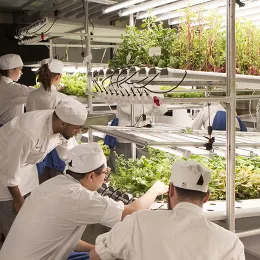 Students learn about hydroponic farming at ICE
