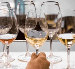 White wine tasting