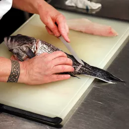 fish fabrication