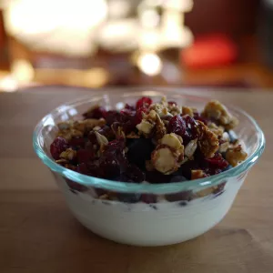Bowl of granola and cranberries 