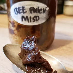Chef Chris Scott's Bee Pollen Miso