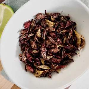a bowl of chapulines