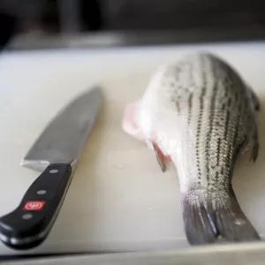 Wusthoff chefs knife next to a whole fish that has been cleaned and is ready to debone