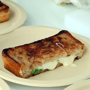 A grilled cheese sandwich on a plate.