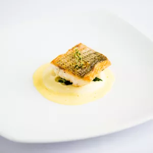 Plated fish dish showcasing french cuisine