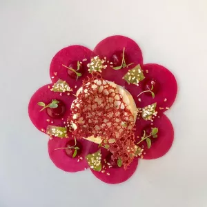 Goat Cheese Mousse, Pickled Beets, Beet Gel, Puffed Amaranth, Celery and Beet Coral