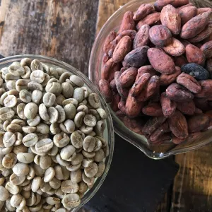 Coffee and cacao beans