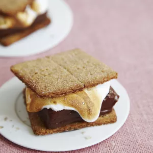 s'more dessert with chocolate graham cracker and marshmallow 