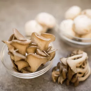 Mushrooms are predicted to be a 2019 food trend.